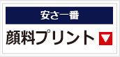 顔料プリント
