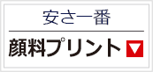 顔料プリント